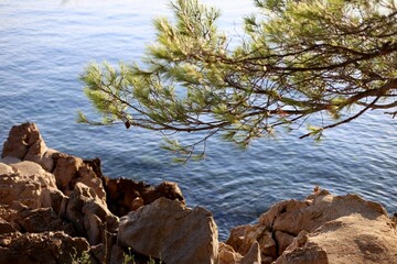 Krk Island, Croatia. Rocky limestone beaches with azure blue sea around Vantacici surrounded with pine forest and nice shade on a hot Summer day