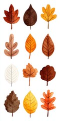 Watercolor paper texture sticker design pastel colors simple lines vibrant autumn leaves oak maple and birch leaves scattered soft light and shadows orange yellow red palette