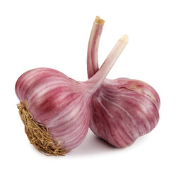 Two garlic bulbs isolated on a white background. Unpeeled garlic bulb .Full clipping path.