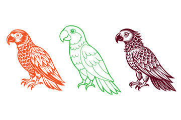 parrots collection. Vector isolated elements on the white background.