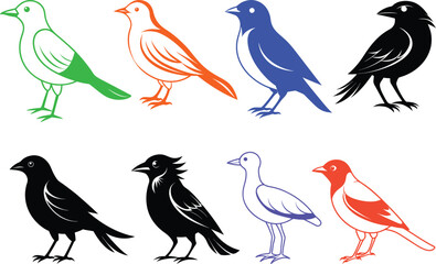 Various  birds collection for any visual design.