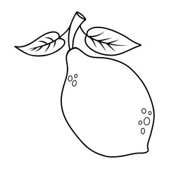 Contour lemon with leaves. Seasonal citrus fruit. Line Outline drawing, coloring book. Vector illustration. Kids collection