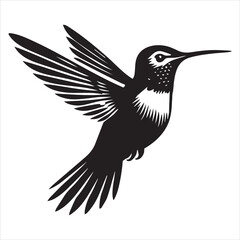 Obraz premium Rufous hummingbird silhouette - Hummingbird Bird Clipart - Rufous hummingbird hovering illustration in black and white 