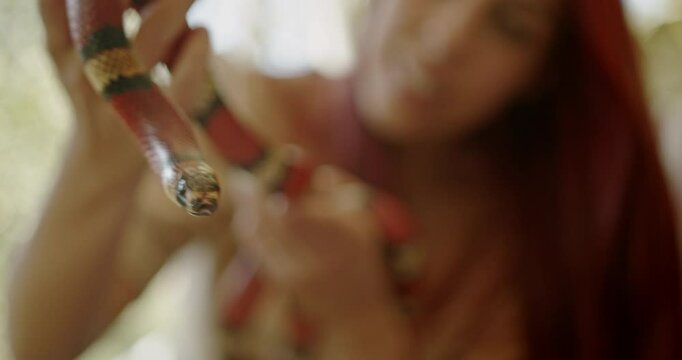 Close-up shot of a scarlet king snake being held by a young woman.