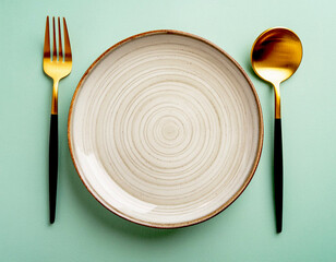 Look down plate, fork, table, spoon