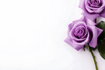 Fototapeta premium Purple Watercolor Rose on a White Background. Watercolor Blush Pink Rose Clipart with Floral Border and Painted Petals, Perfect for Dusty Rose Wedding Designs. Generative AI