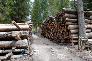 Trail pathway at Santa Maddalena Landscape at Val di Funes, land of the pale mountains and valley in the Dolomites, UNESCO World Heritage- South Tyrol, Italy
