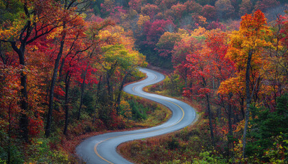 Fototapeta premium A winding road through vibrant autumn foliage, showcasing the beauty of nature's seasonal transformation.