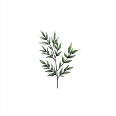 Fototapeta premium Hand Drawn Green Branch with Leaves