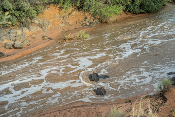 Water Flooding Snow Canyon Red Rocks