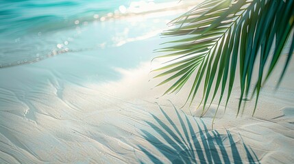 Palm Leaf Casting Shadow on Sandy Beach