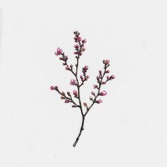 Delicate Branch with Pink Blossoms