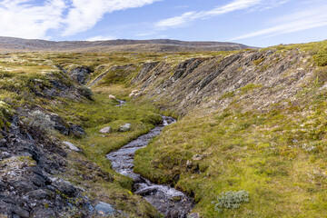 Wild river in Dovrefjell, Norway