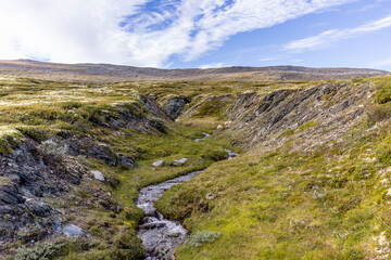 Wild river in Dovrefjell, Norway
