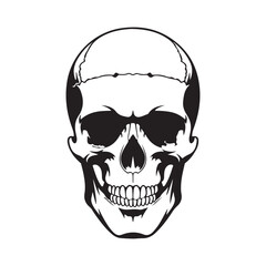 Obraz premium Skull head vector art illustration