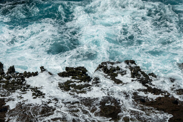 Fototapeta premium scenes at the coast of oahu hawaii on a sunny day