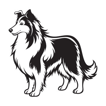 recommend clip art: Sheltie Dog Standing silhouette - standing dog side view Vector illustration in black and white
                    