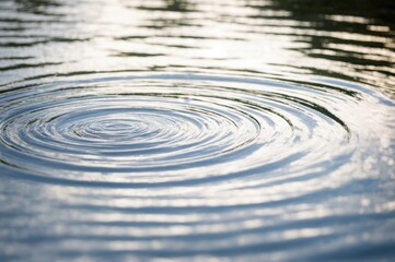 Fototapeta premium Serene Moment Captured As Ripples Expand On Water's Surface 
