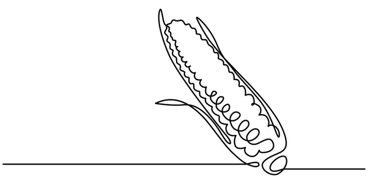 recommend clip art: Corn continuous one line drawing, single line art element, minimalist sketch line vector illustration, autum and thanksgiving concept, Continuous one line drawing. Vegetables two corn vector 