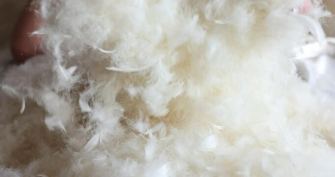 Woman with white feathers on pillows