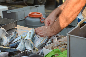 Cleaned Fish at Fishing Village Market Fresh Seafood Discover high-quality images of a bustling...