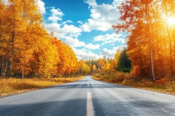Obraz premium A serene road surrounded by vibrant autumn foliage under a bright blue sky, perfect for nature lovers and travel enthusiasts.