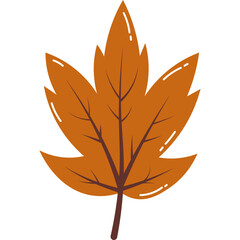 Autumn Leaf Illustration