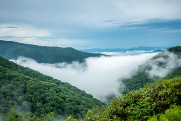morning drive around blue ridge parkway in north carolina towards asheville from blowing rock
