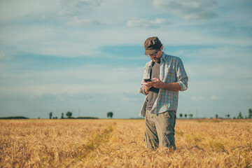 Farm worker using smartphone in ripe wheat field