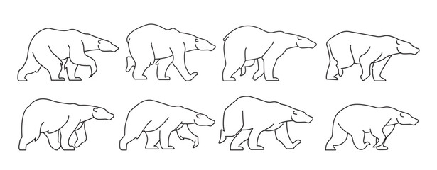 polar bear outline drawing