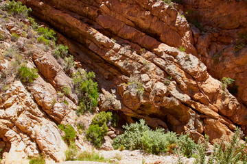 Eine Reise durch Südafrika. Meiringspoort