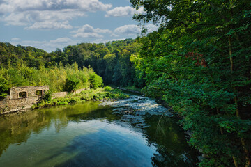 Fluss - Wald - Erzgebirge - Sachsen - Deutschland 
