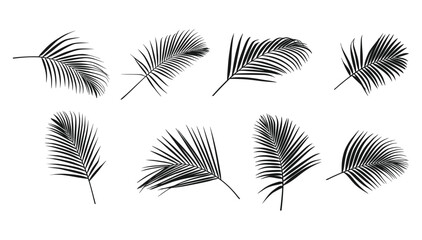 palm leaf silhouettes collection