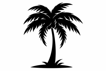 black silhouettes of a palm tree, palm tree svg, palm tree icon vector