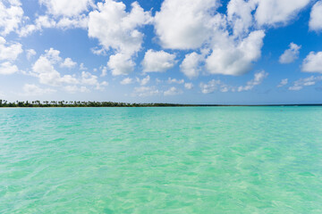 Aerial view of Saona Island. Caribbean Sea with clear blue sea, sandy beach and green palms. Tropical beach.Dominican Republic