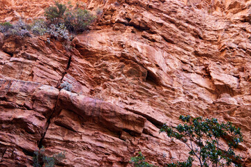 Eine Reise durch Südafrika.