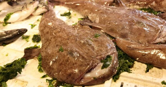 Fresh monkfish for sale at the market