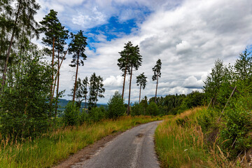Rural road in South Bohemian forest. Czechia.
