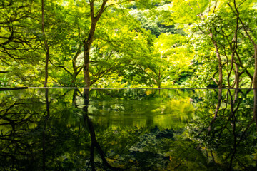 Japanese garden view with reflection and flowers, in Arashiyama Kyoto, Japan