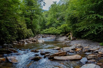 River with boulders and forest in the  Great Smoky Mountains National Park, Tennessee, United States Of America.