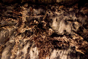 Eine Reise durch Südafrika. Cango-Caves