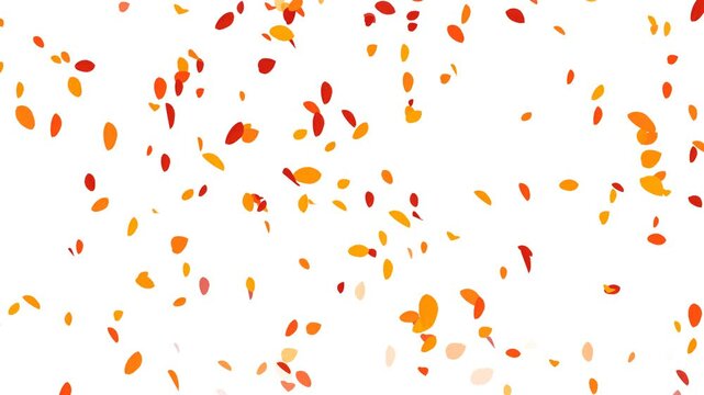 autumn leaves falling on transparent background, fall season colorful leaves, halloween and autumn sale 4k motion overlay design element