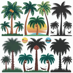 Palm tree Vector