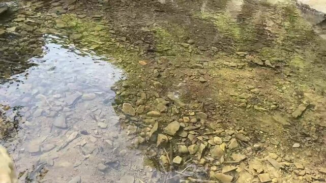 specchio d'acqua