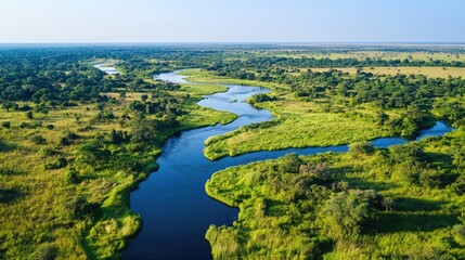 Bird's-eye view of the diverse ecosystems in the Kruger National Park, with rivers, savannahs, and woodlands