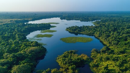 Naklejka premium Panoramic view of the serene Kumana National Park, with lagoons, wetlands, and bird nesting sites