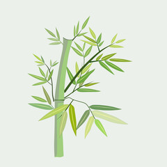 Fototapeta premium Bamboo leaves of light green and dark green on a grey background.