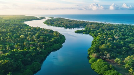 Top view of the serene Bentota River estuary, where the river meets the Indian Ocean, surrounded by lush vegetation
