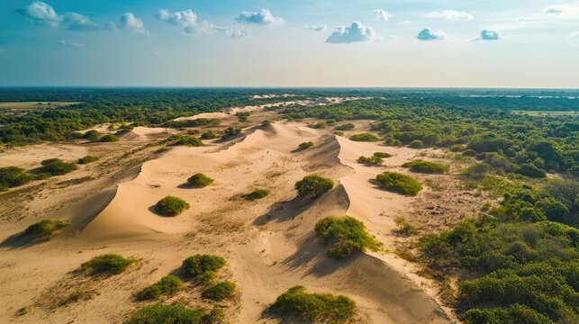 Top view of the undulating sand dunes and arid landscapes of Mannar Island, with scattered vegetation