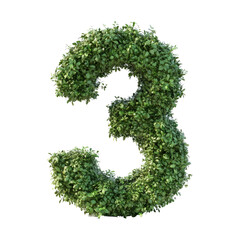 shrubs trimmed into number 3 isolated on transparent background